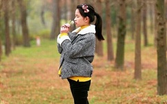 中央三套在线直播